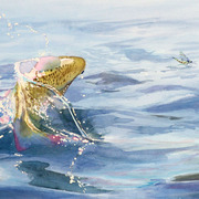 568jw_card