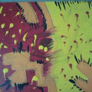 Bright_eyes_card