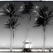 Photo_copy_14_card