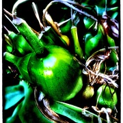 Photo_copy_16_card