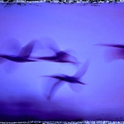 2photo_card