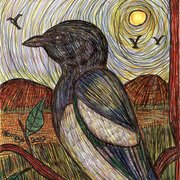 Black_billed_magpie_with_friends_nearby_card