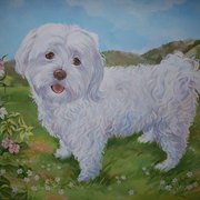 100_2399_card
