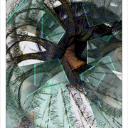28_b_small_card