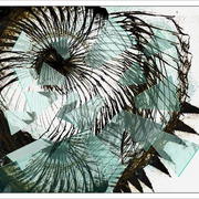22d_2net_card