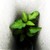 Ourpetzourpetz_210redone_tiny_square