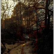 Untitled-1s_card