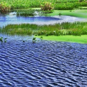 Img_0048__card