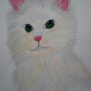 Dscn2062_card
