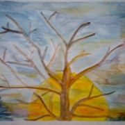 Dscn2073__3_card