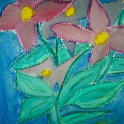 Dscn2081_card