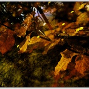 Untitled-32_card