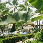 Resort_card