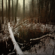 094_card