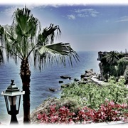 Img_0542___card