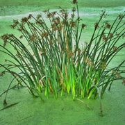 Img_0037_card