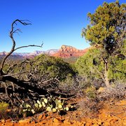 4019070_large_card