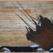 Boat_in_trouble