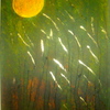 Hpim0764_thumb