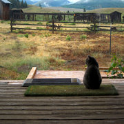 Waitingforthestormtopass_card