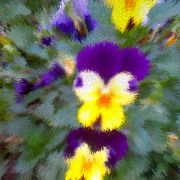 Color_explosion_card