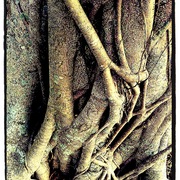 Photo_card