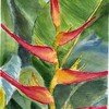 Tropicalfloweredit_copy_thumb