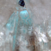 Timefreeze-02_card