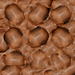 Fa007_square