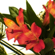 Niver_2012_mae_eu_005_card