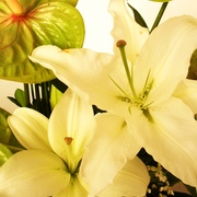 Niver_2012_mae_eu_003_card
