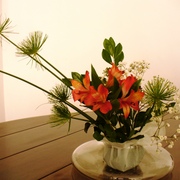 Niver_2012_mae_eu_004_card