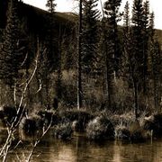 _mg_1827_card