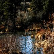 _mg_1819_card