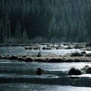 _mg_1823_card