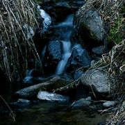 _mg_8885_card