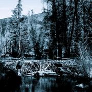 _mg_8952_card