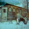 Siberian-winter-games__thumb