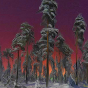 Forest_light_card