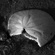 Img_7949_card