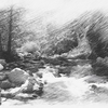 Landscape_thumb