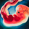 Fetus_cc_thumb