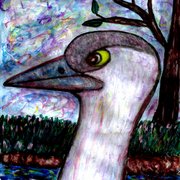 Whooping_crane_observing_card