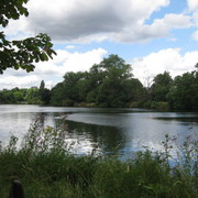 Hyde_park_7_card