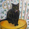 Kitty_2-19-12_thumb
