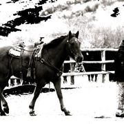 Img_0261_card