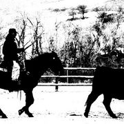Img_0278_card