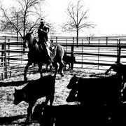 Img_1541_card