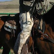 Img_1580_card
