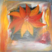 Sam_4526_card